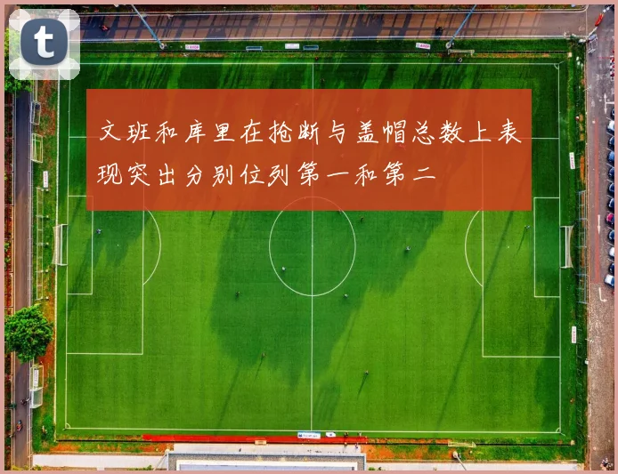 文班和库里在抢断与盖帽总数上表现突出分别位列第一和第二