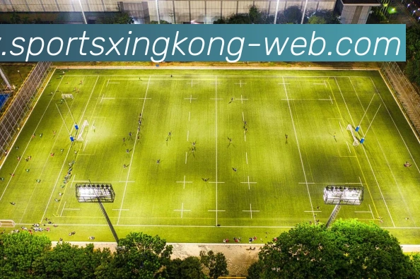 星空体育APP 封面图